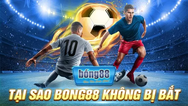 Bong88 - Sân Chơi Cá Cược Trực Tuyến Đỉnh Cao - Khám Phá Bí Mật Thành Công